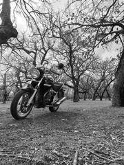 Moto Guzzi Breva 750 2010-thumb-3