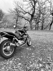 Moto Guzzi Breva 750 2010-thumb-4