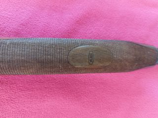 Breda xanthos-thumb-4