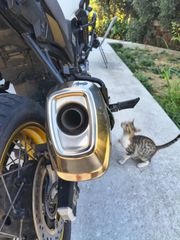 Suzuki V-Strom 650 XT 2022-thumb-15