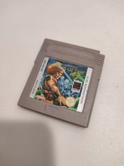 Fortress of Fear Gameboy