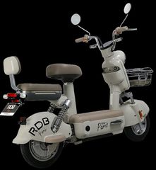 RDB Paris 2026 RDB PARIS 48V 20Ah ΧΩΡΙΣ ΔΙΠΛΩΜΑ-thumb-1