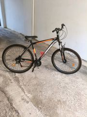 Downhill - Enduro - Trail Orient 2024