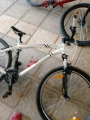 All - Mountain Specialized 2008