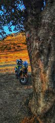 Benelli TRK 702 2024 TRK 702X-thumb-10