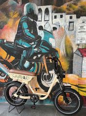 Άλλο VeloGreen 2026 W77 PLUS 48V/18Ah 750W EU LEGAL