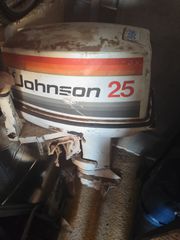 Johnson 1989