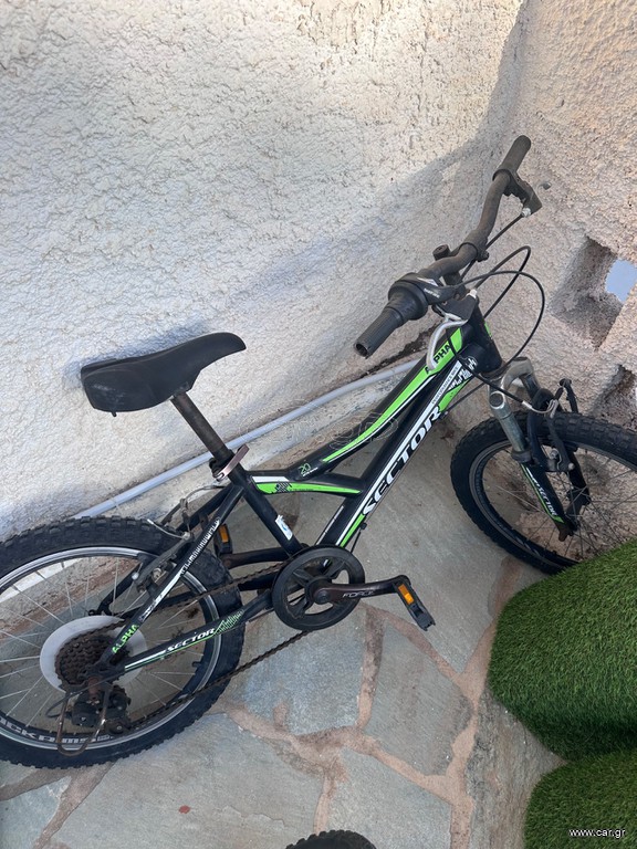 BMX Sector 2020