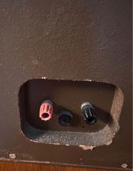 Celestion Ditton 11-thumb-3