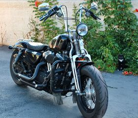 Harley Davidson Sportster Forty-Eight 2014 ''Custom Springer''-thumb-6
