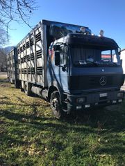 Ζωάδικο Mercedes-Benz 1993