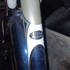 26" beach cruiser-thumb-11