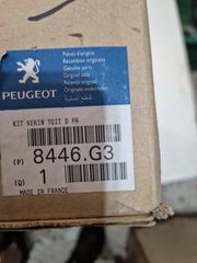 Peugeot 206CC Αμορτισερ ηλιοροφης - 8446G3