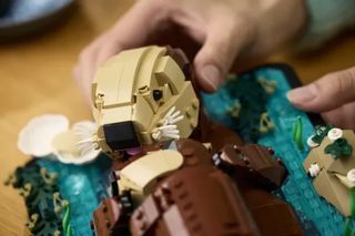 LEGO – Floating Sea Otters (21366)-thumb-4