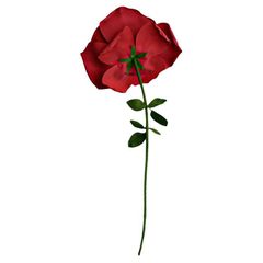 XXL Rose / Gadgets-thumb-1