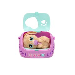 Baby Paws - Just Born Puppy (264-923478)