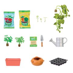 Miniverse - Spaces Starter Pack Greenhouse (598060)-thumb-1