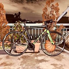 Road - Racing 2017 Scott speedster 40