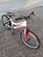 All - Mountain Orient 2022 20" sprint