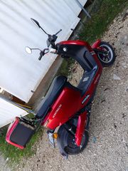 Daytona Elektra 50 2024-thumb-3