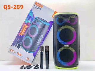 Φορητό ηχείο subwoofer με 2 μικρόφωνα Karaoke - QS-289 - 260486 - Green