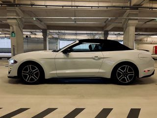 Ford Mustang 2019-thumb-3