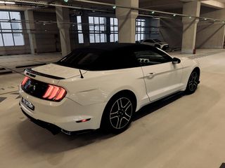 Ford Mustang 2019-thumb-8