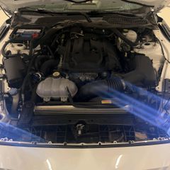 Ford Mustang 2019-thumb-16