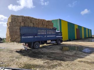 Πωλούνται μπάλες σανό βρώμης αχυρα