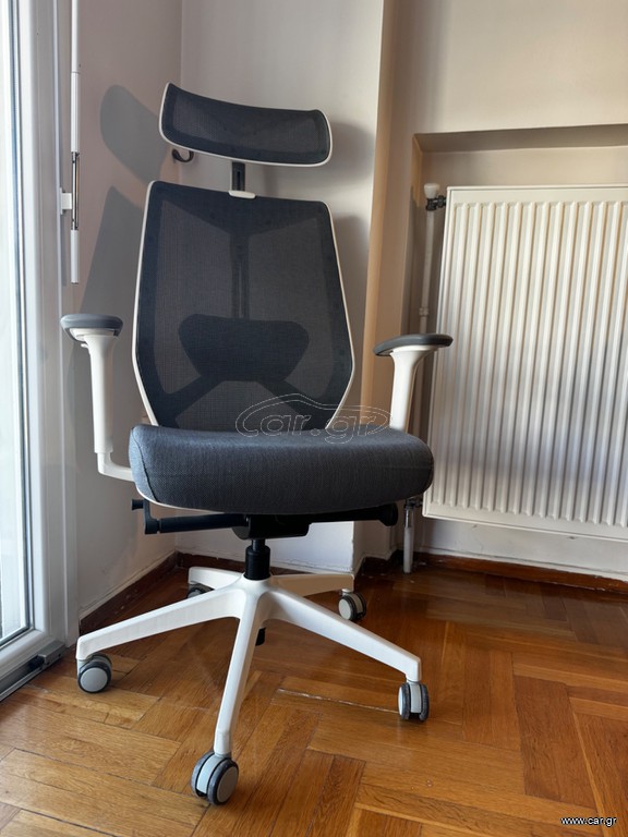 ERGOACTION ARCO