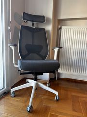 ERGOACTION ARCO