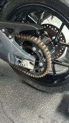 Triumph Tiger 1050 2010-thumb-12