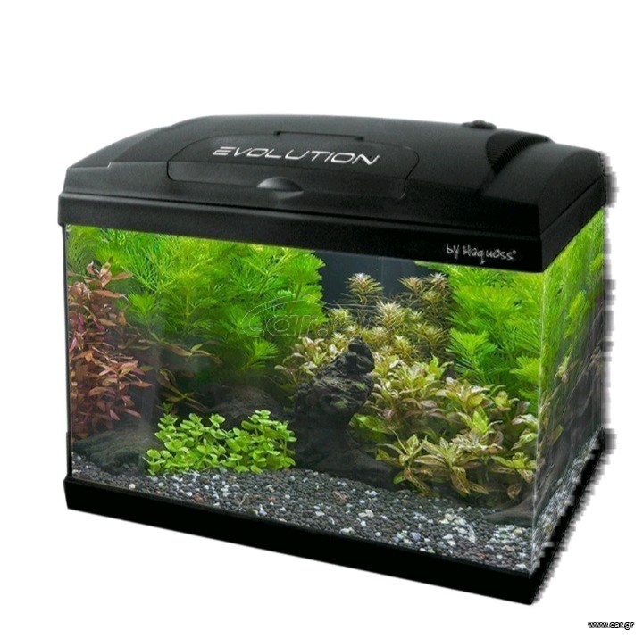 EVOLUTION 60L