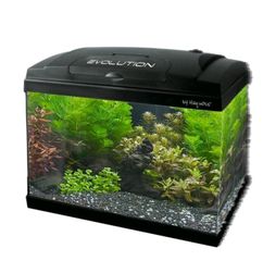 EVOLUTION 60L