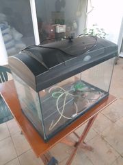 EVOLUTION 60L-thumb-2