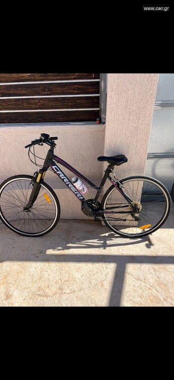 All - Mountain Carrera 2023