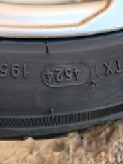 Ζαντολαστιχα-thumb-1
