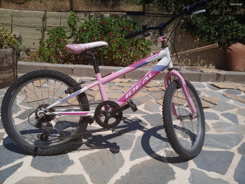 All - Mountain Ideal 2022 Condor