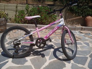 All - Mountain Ideal 2022 Condor