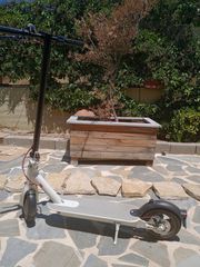 Ηλεκτρικά Πατίνια Xiaomi 2020 M 365
