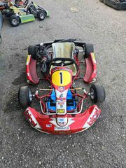 On-Road Birel ART 2014 Junior