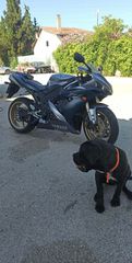 Yamaha YZF-R1 2005-thumb-6