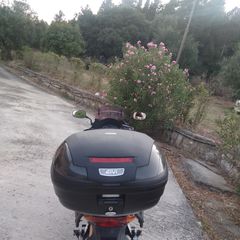 Honda CBF 600S 2004 CBF 600S ABS-thumb-2