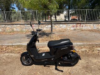 Daytona Elektra-L-50 2025