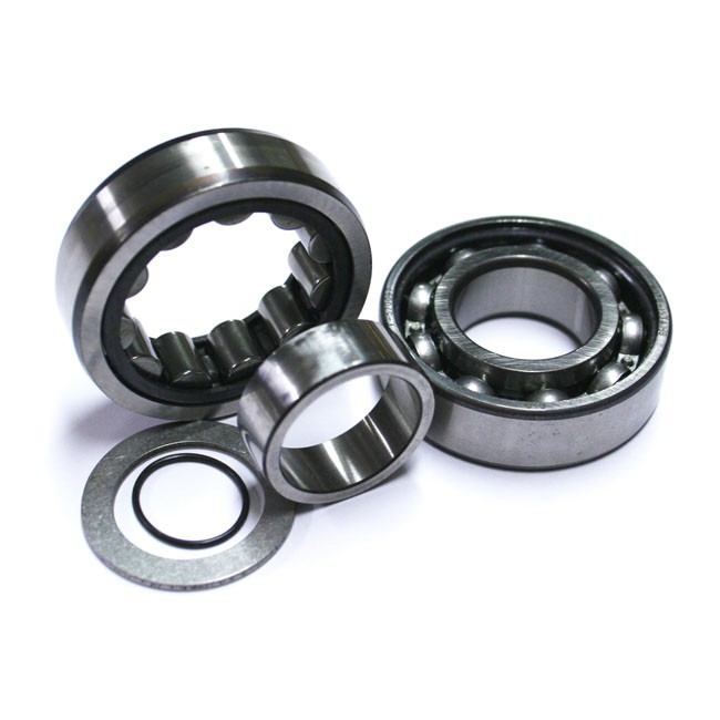 Feuling, Cam Bearings