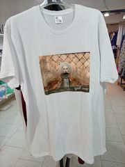 Κατάστημα-thumb-7
