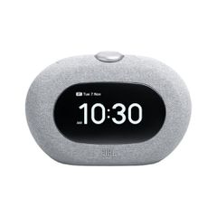 JBL HORIZON 3 GREY