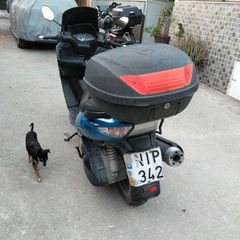 Kymco Xciting 500 2006-thumb-2