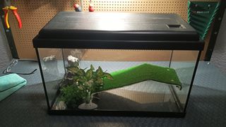 Ενυδρείο Aquatlantis Funny fish 50 με τον εξοπλισμό του