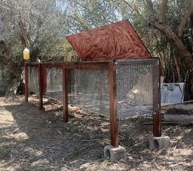 Πωλουνται κουνελωνες και κλουβια για ζωα